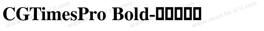 CGTimesPro Bold字体转换